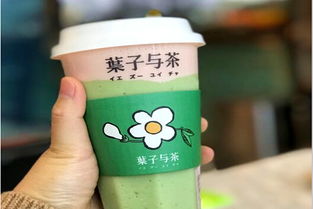 加盟葉子與茶需多少費用？冰淇淋加盟機遇解析